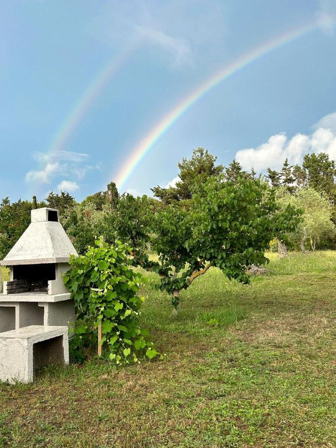 アルゲーロ Casa Del Mateヴィラ エクステリア 写真